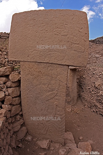 Şanlıurfa Göbeklitepe Fotoğrafları