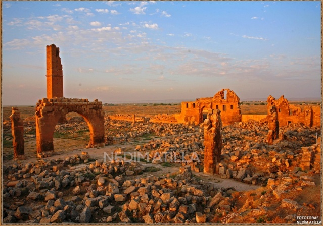 Harran Fotoğrafları